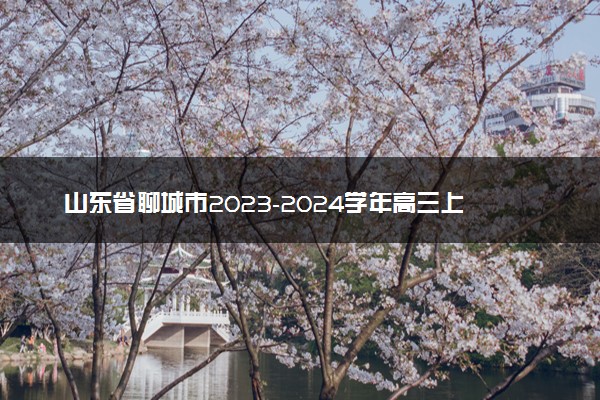 山东省聊城市2023-2024学年高三上学期期末考试物理试题