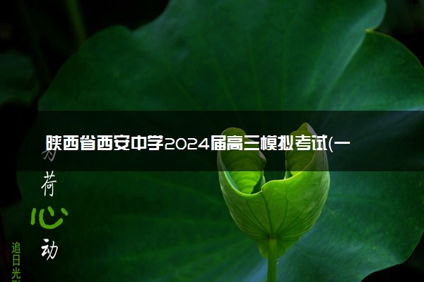 陕西省西安中学2024届高三模拟考试（一）文科综合