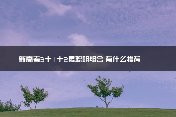 新高考3十1十2最聪明组合 有什么推荐