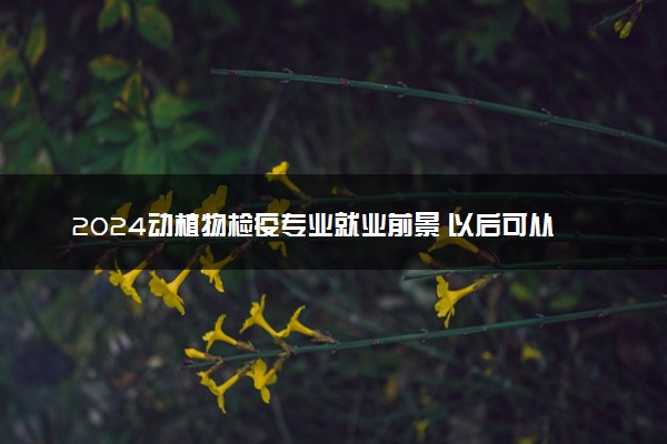 2024动植物检疫专业就业前景 以后可从事哪些工作