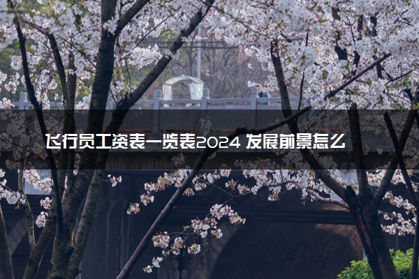 飞行员工资表一览表2024 发展前景怎么样