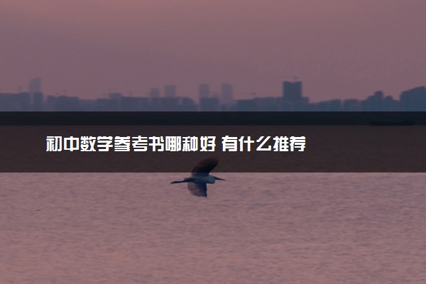 初中数学参考书哪种好 有什么推荐