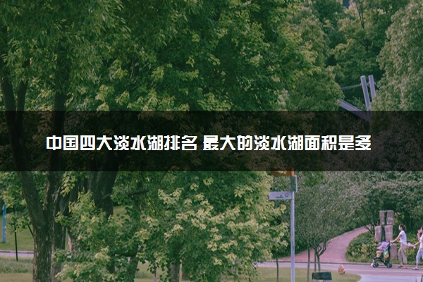 中国四大淡水湖排名 最大的淡水湖面积是多少