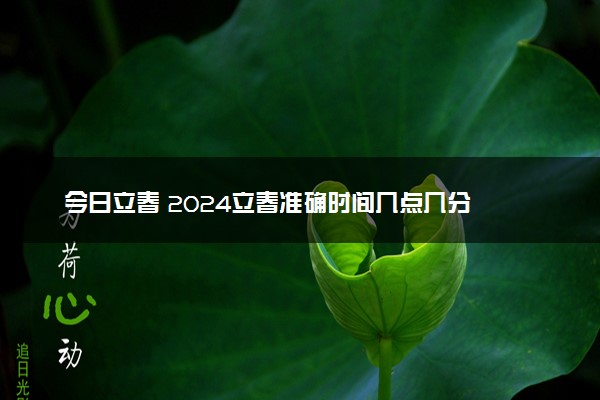 今日立春 2024立春准确时间几点几分