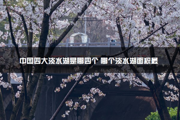 中国四大淡水湖是哪四个 哪个淡水湖面积最大