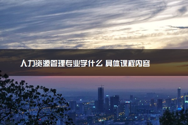 人力资源管理专业学什么 具体课程内容