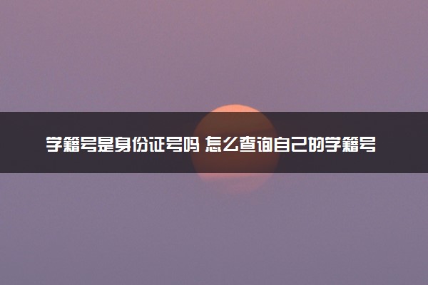 学籍号是身份证号吗 怎么查询自己的学籍号