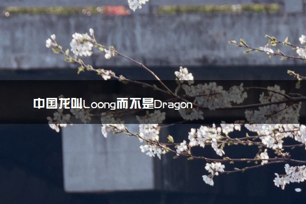 中国龙叫Loong而不是Dragon 	loong和dragon区别是什么