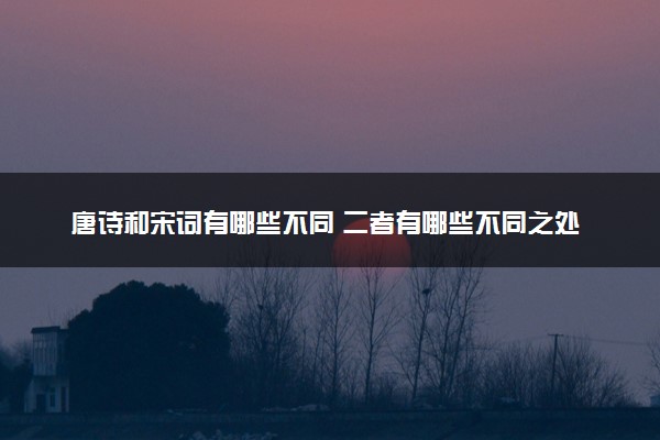 唐诗和宋词有哪些不同 二者有哪些不同之处