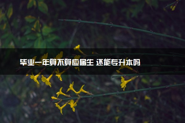 毕业一年算不算应届生 还能专升本吗