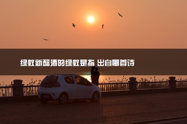 绿蚁新醅酒的绿蚁是指 出自哪首诗