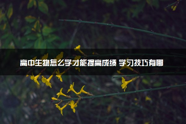 高中生物怎么学才能提高成绩 学习技巧有哪些
