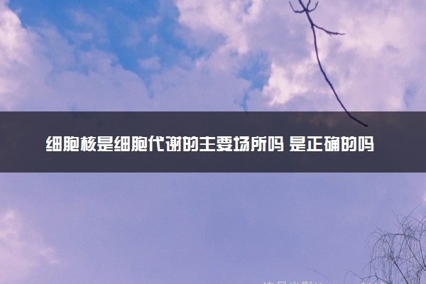 细胞核是细胞代谢的主要场所吗 是正确的吗