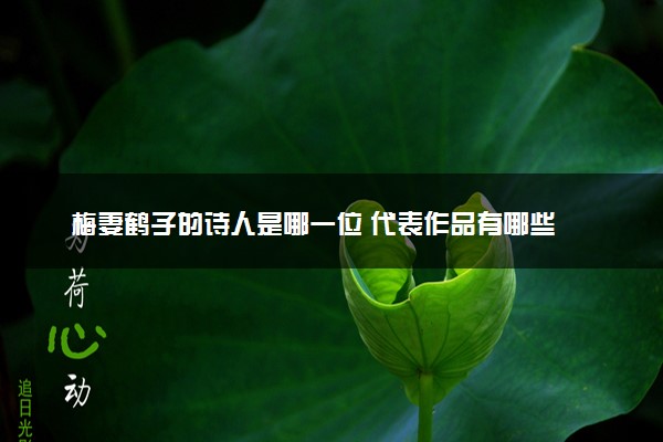 梅妻鹤子的诗人是哪一位 代表作品有哪些