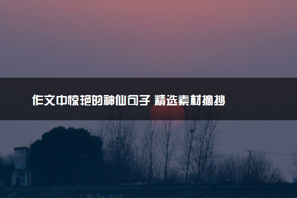 作文中惊艳的神仙句子 精选素材摘抄
