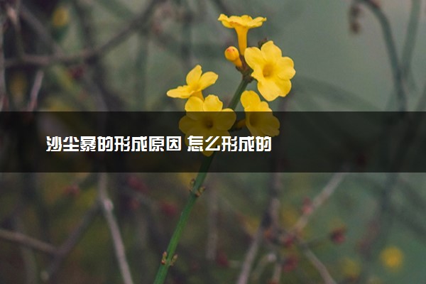 沙尘暴的形成原因 怎么形成的