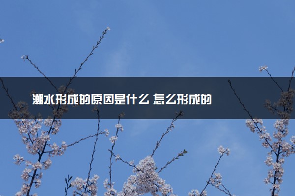 潮水形成的原因是什么 怎么形成的