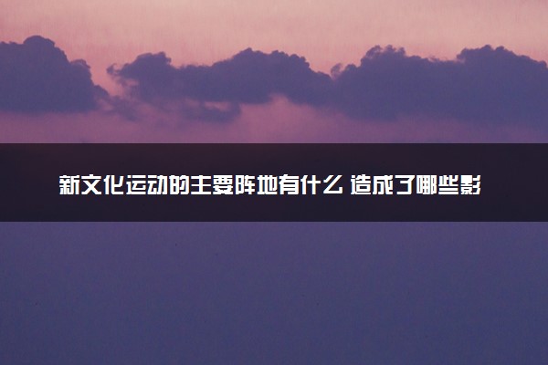 新文化运动的主要阵地有什么 造成了哪些影响