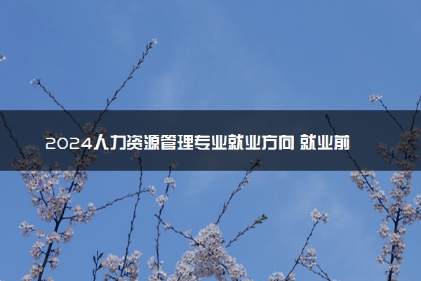 2024人力资源管理专业就业方向 就业前景怎么样