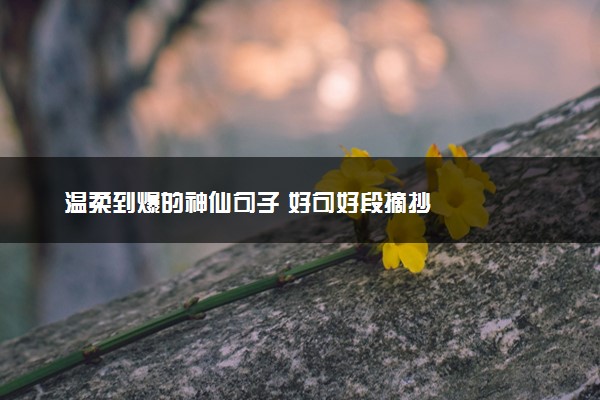 温柔到爆的神仙句子 好句好段摘抄