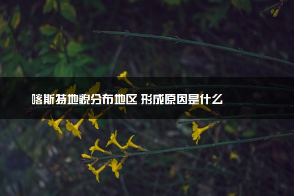 喀斯特地貌分布地区 形成原因是什么