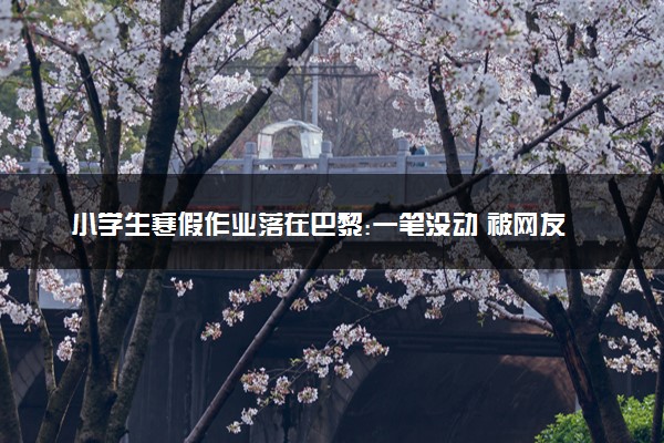 小学生寒假作业落在巴黎:一笔没动 被网友带回