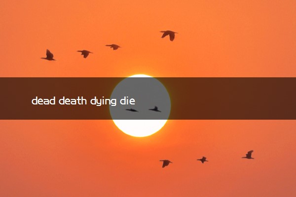 dead death dying died的区别