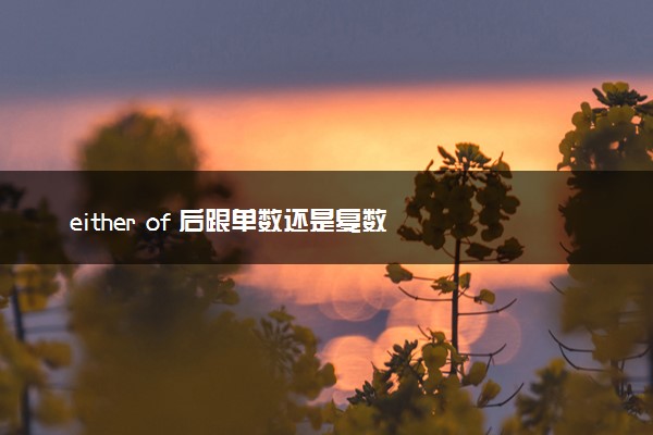 either of 后跟单数还是复数
