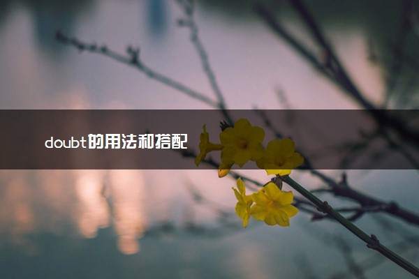 doubt的用法和搭配
