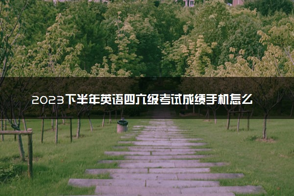 2023下半年英语四六级考试成绩手机怎么查询 有哪些方法