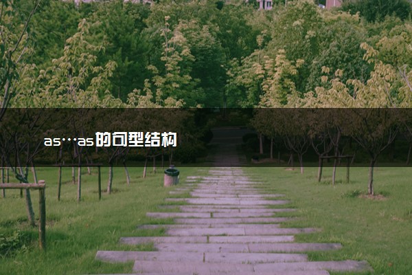 as…as的句型结构