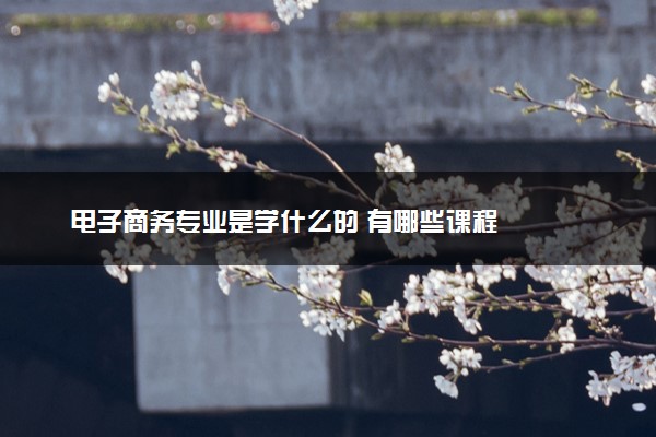 电子商务专业是学什么的 有哪些课程