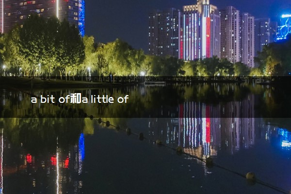 a bit of和a little of的区别