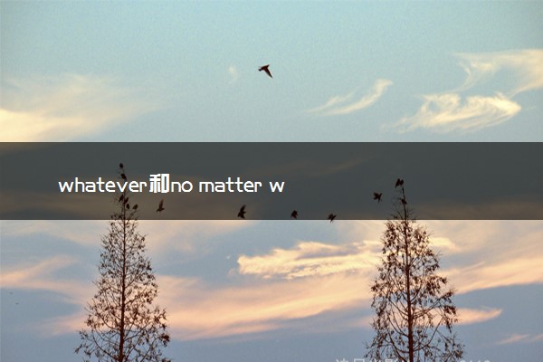 whatever和no matter what的区别