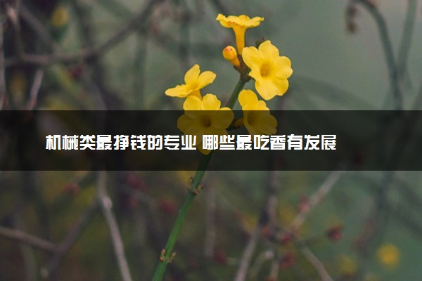 机械类最挣钱的专业 哪些最吃香有发展