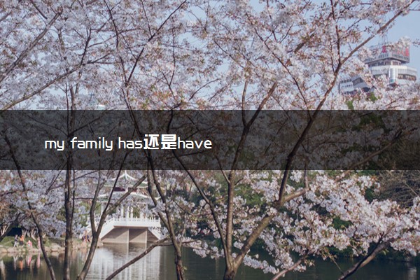 my family has还是have