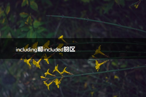 including和included的区别