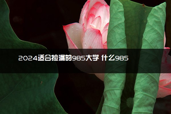 2024适合捡漏的985大学 什么985大学好考