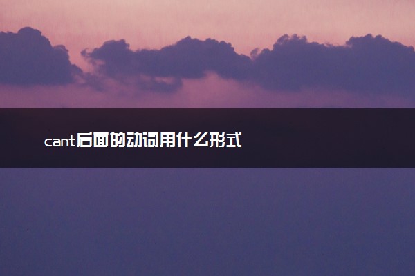 cant后面的动词用什么形式