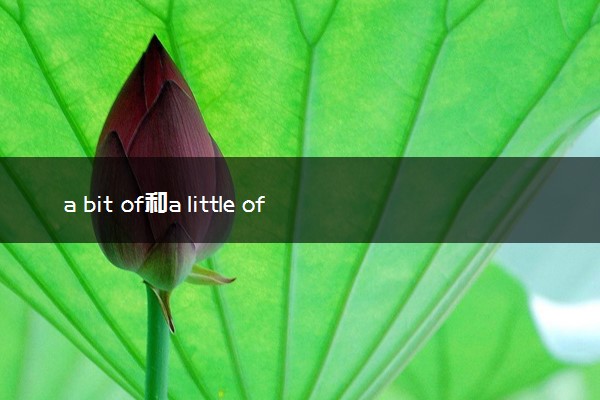 a bit of和a little of的区别