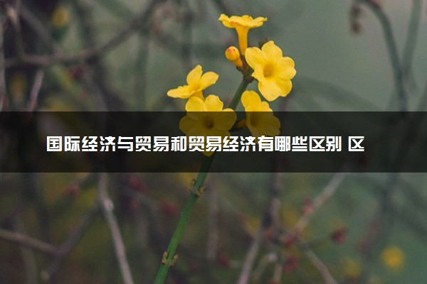 国际经济与贸易和贸易经济‍有哪些区别 区别有哪些