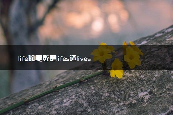 life的复数是lifes还lives