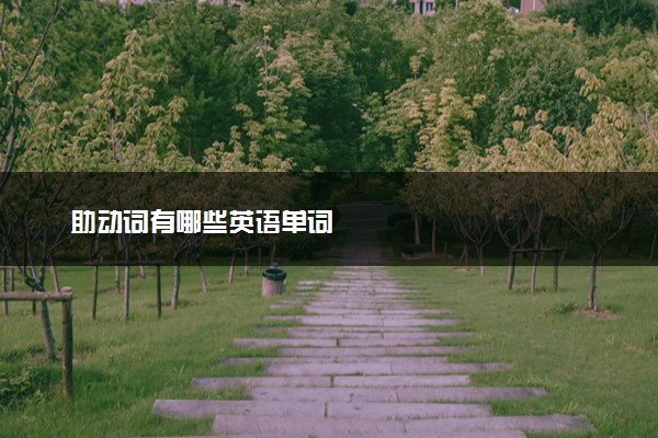 助动词有哪些英语单词