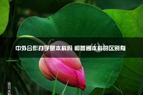 中外合作办学是本科吗 和普通本科的区别有什么