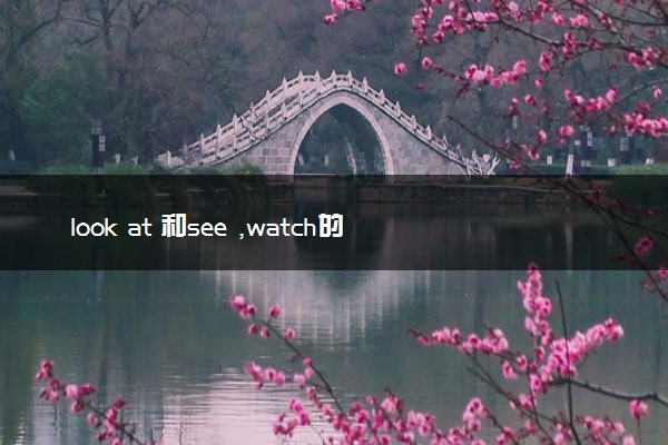 look at 和see ,watch的区别