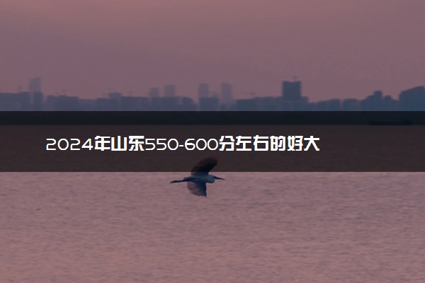 2024年山东550-600分左右的好大学 哪些值得报考