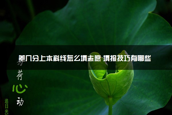 差几分上本科线怎么填志愿 填报技巧有哪些