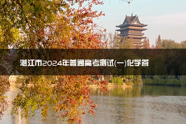 湛江市2024年普通高考测试（一）化学答案