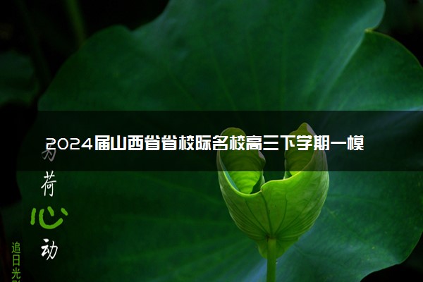 2024届山西省省校际名校高三下学期一模理科综合参考答案详解及评分说明
