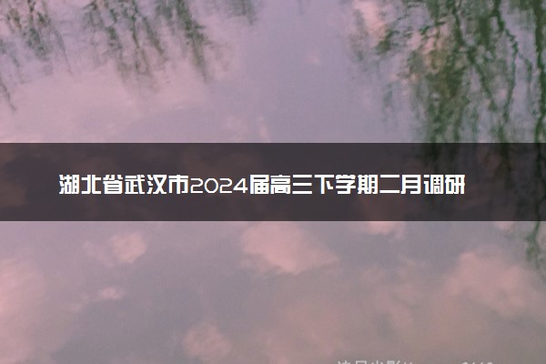 湖北省武汉市2024届高三下学期二月调研考试数学试题答案及评分标准